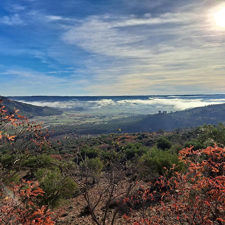 Casa Rural La Bodega, Ofrece Cata De Vino Gratis Horche Exteriér fotografie