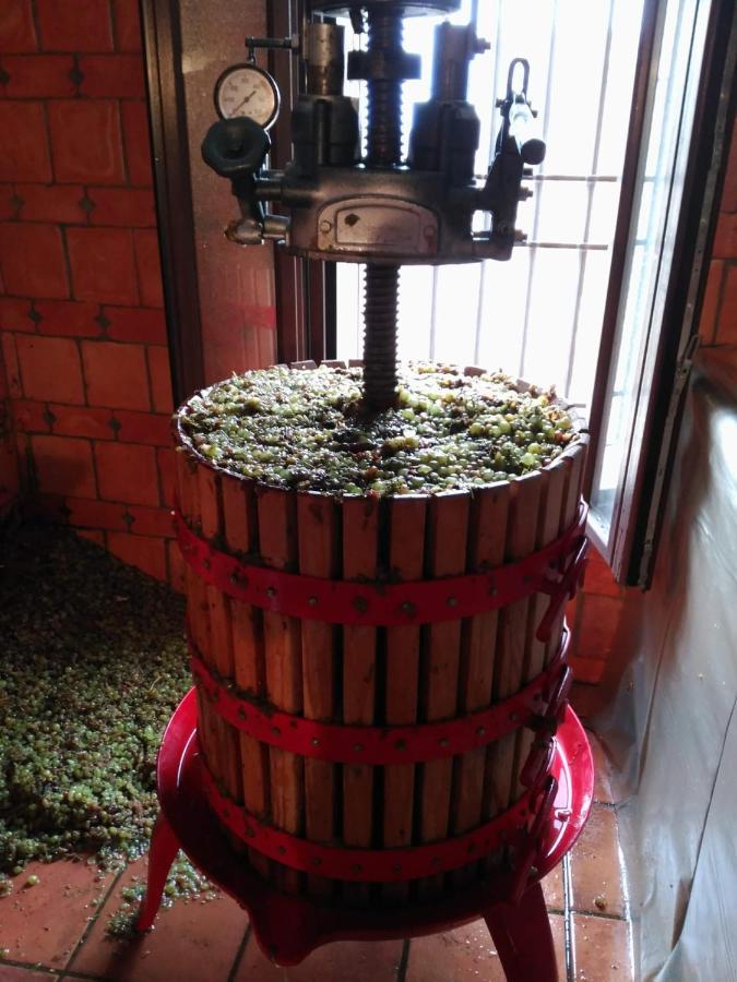 Casa Rural La Bodega, Ofrece Cata De Vino Gratis Horche Exteriér fotografie