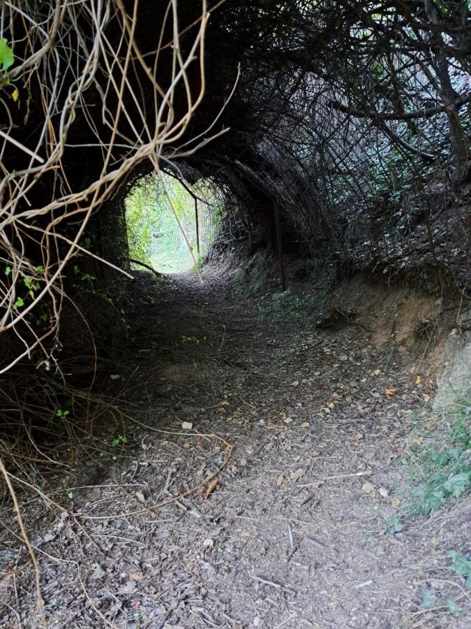 Casa Rural La Bodega, Ofrece Cata De Vino Gratis Horche Exteriér fotografie